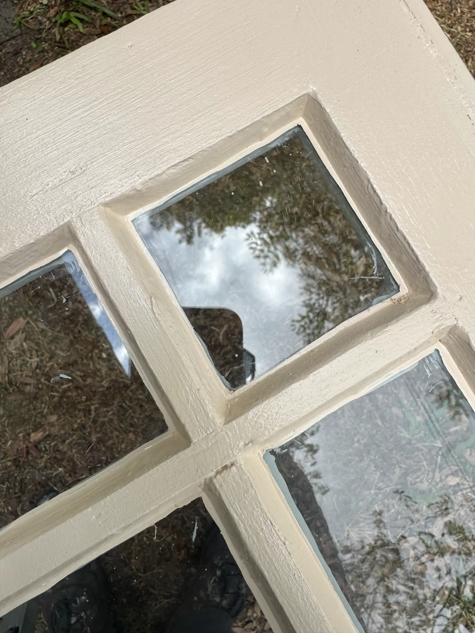 window restoration glazing rot termite damage glass repair sash double hung