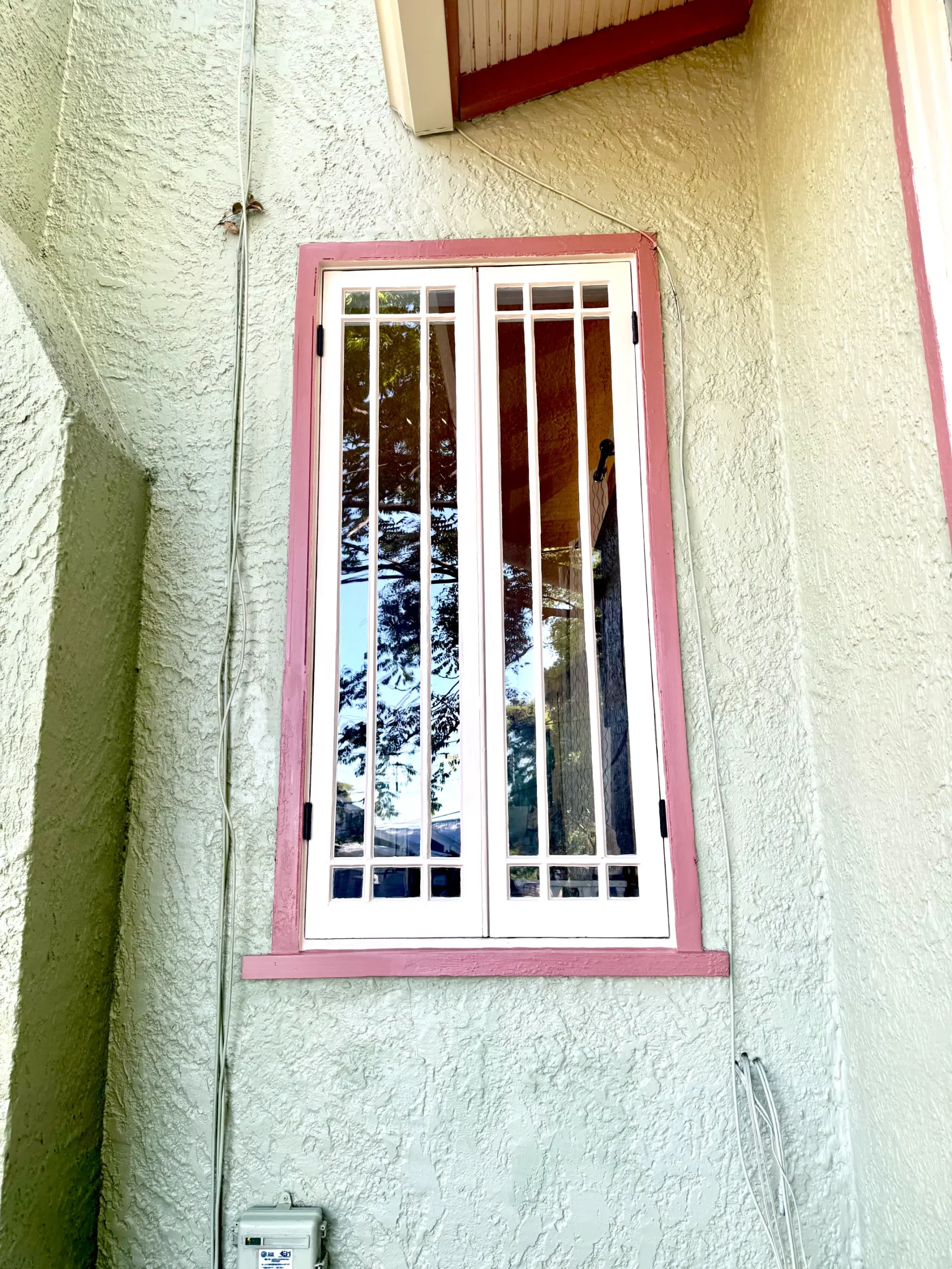 window restoration glazing rot termite damage glass repair sash double hung