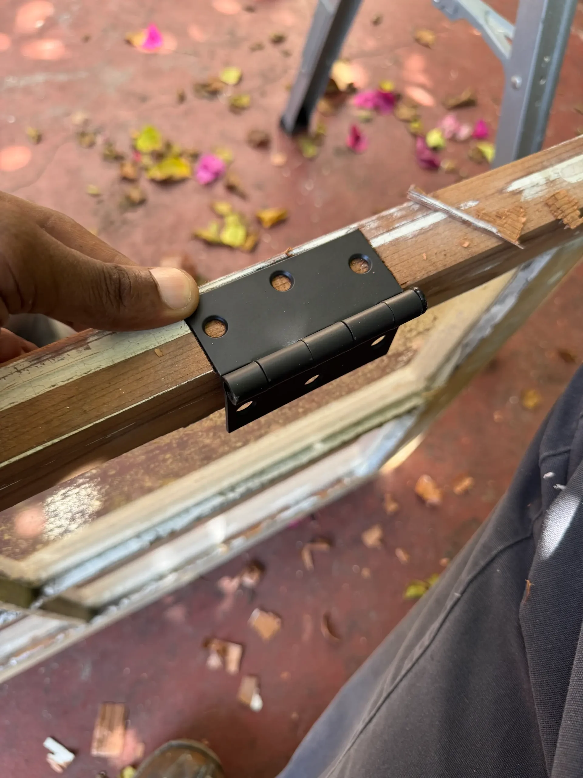 window restoration glazing rot termite damage glass repair sash double hung