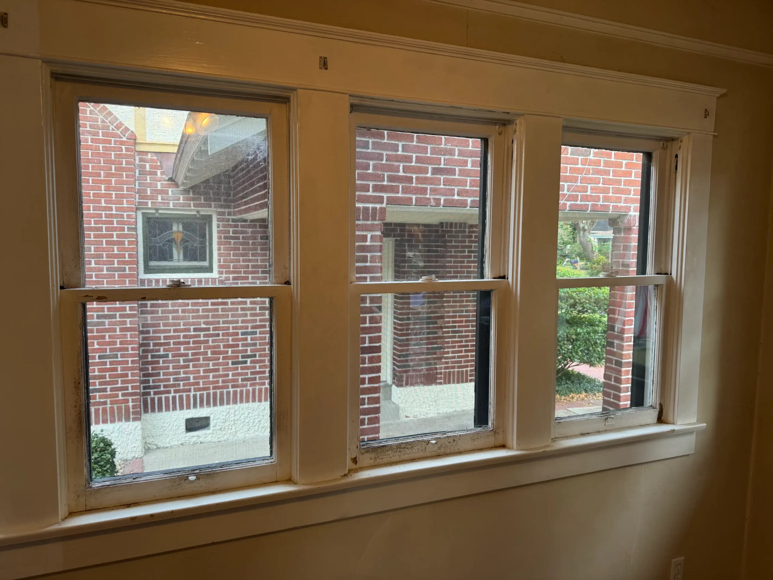 window restoration glazing rot termite damage glass repair sash double hung