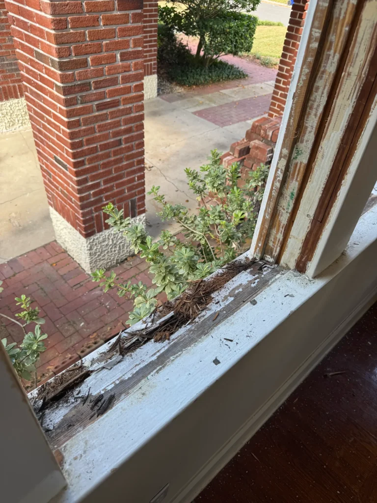 window restoration glazing rot termite damage glass repair sash double hung