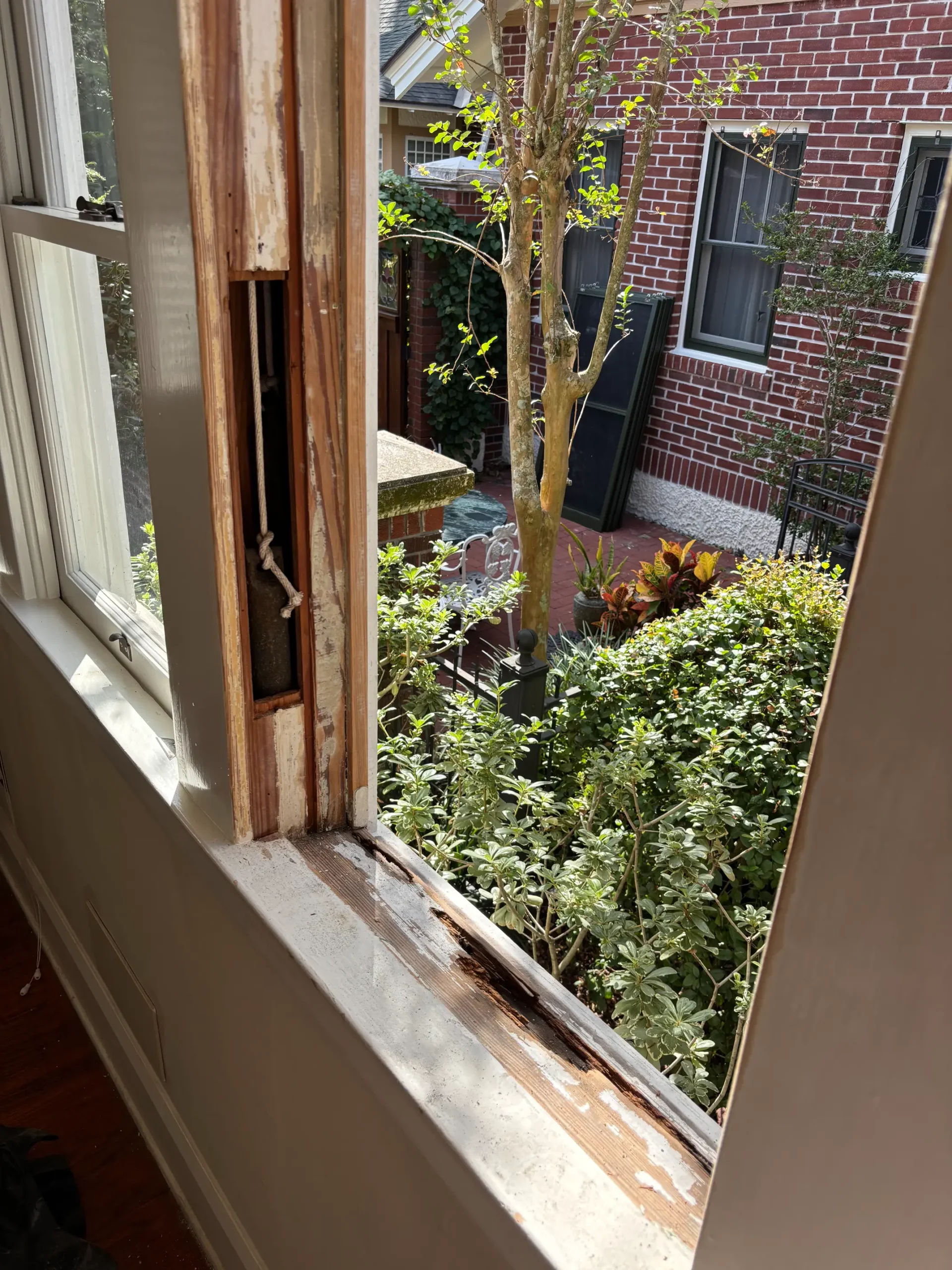 window restoration glazing rot termite damage glass repair sash double hung