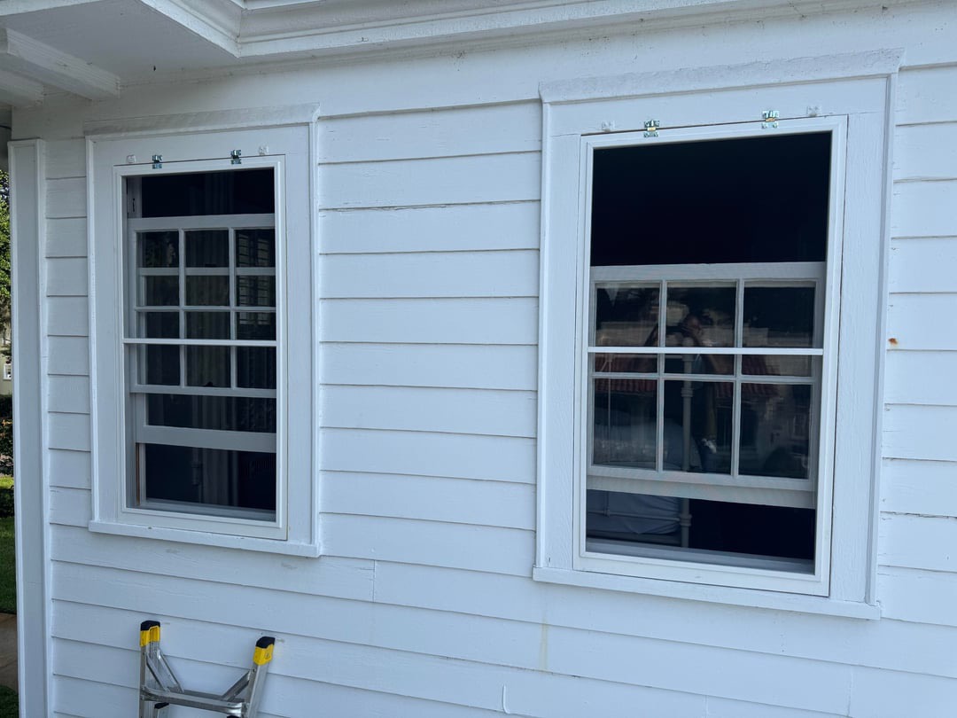 window restoration glazing rot termite damage glass repair sash double hung