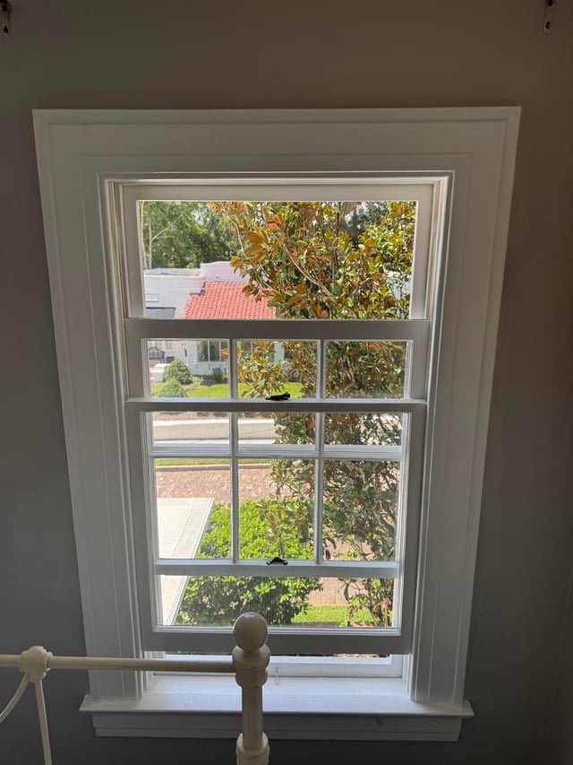 window restoration glazing rot termite damage glass repair sash double hung